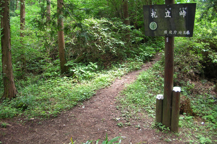 登山・ハイキング