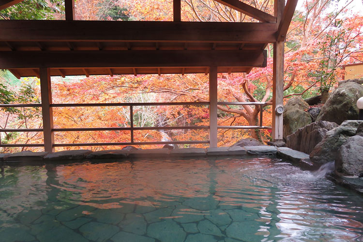 黄金の湯(紅葉)